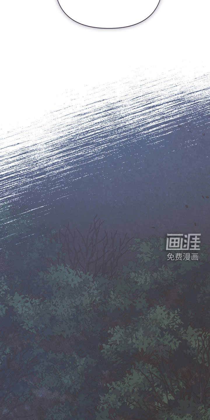 第137话17