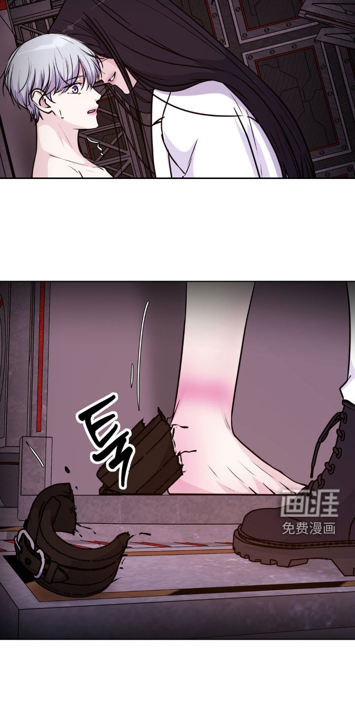 第117话13