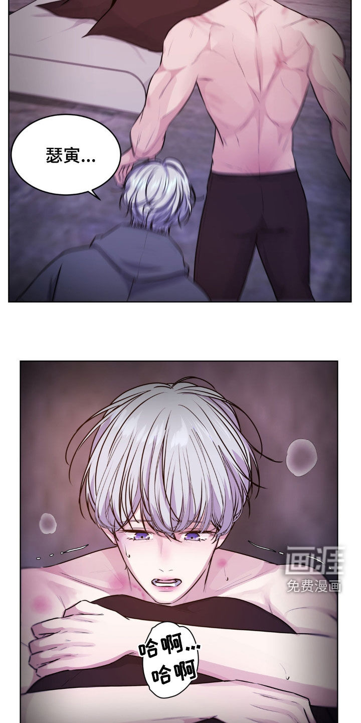 第97话5
