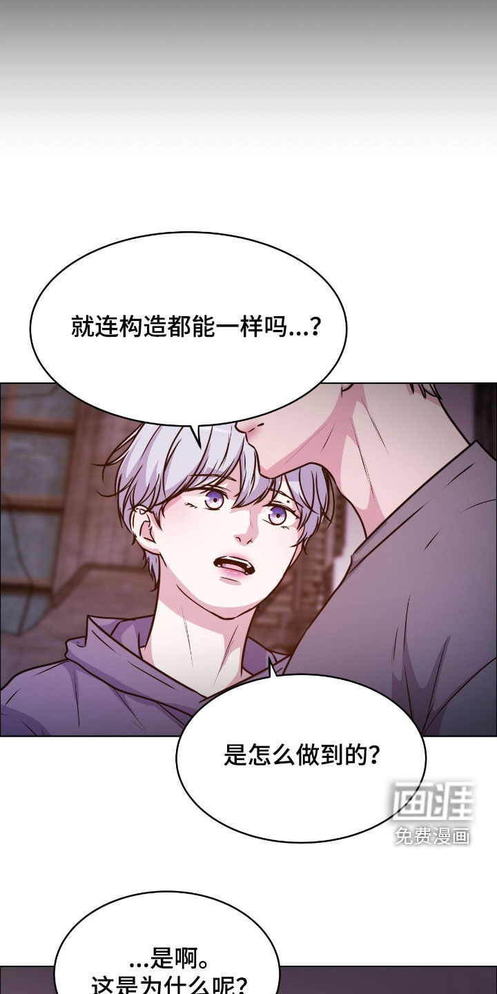 第136话11