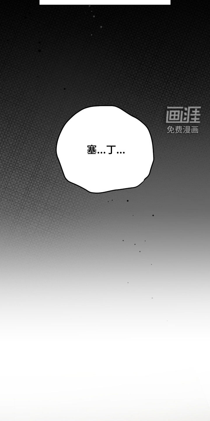 第52话 第17页