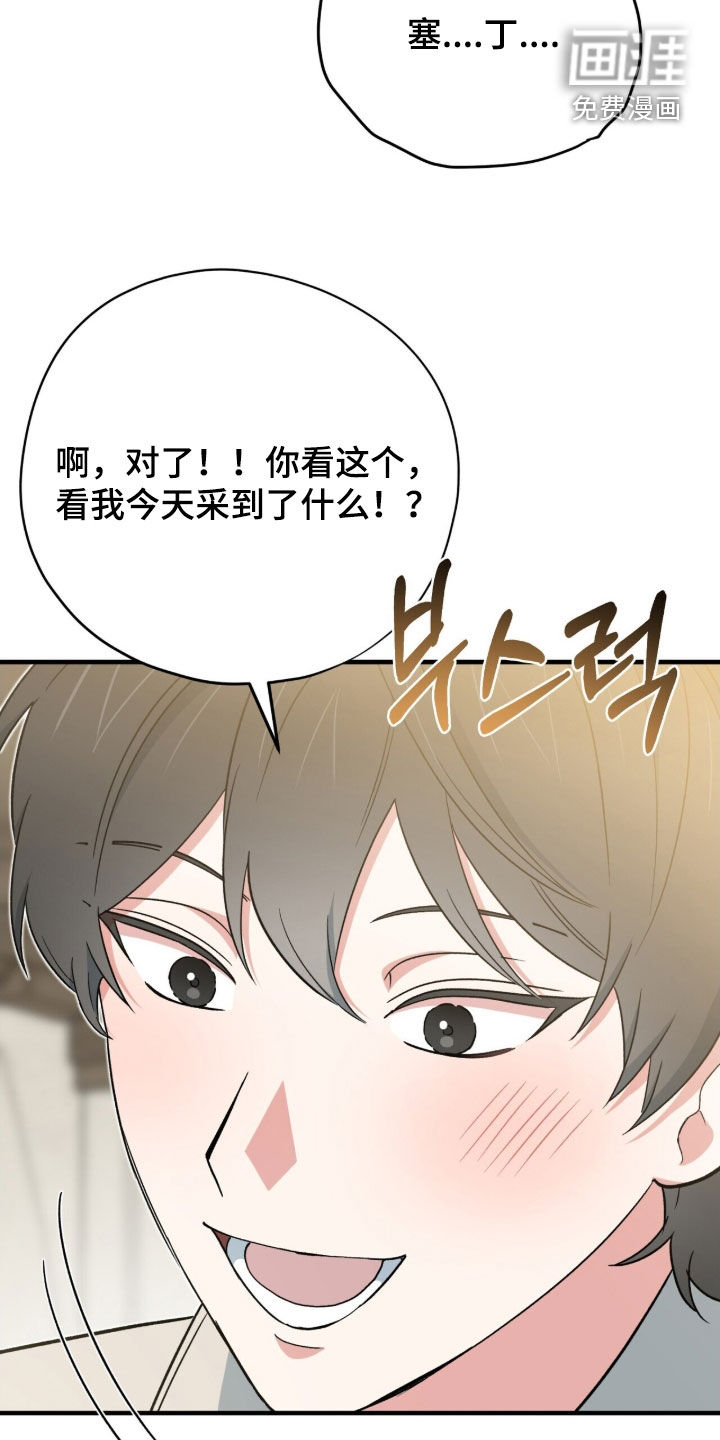第52话 第33页