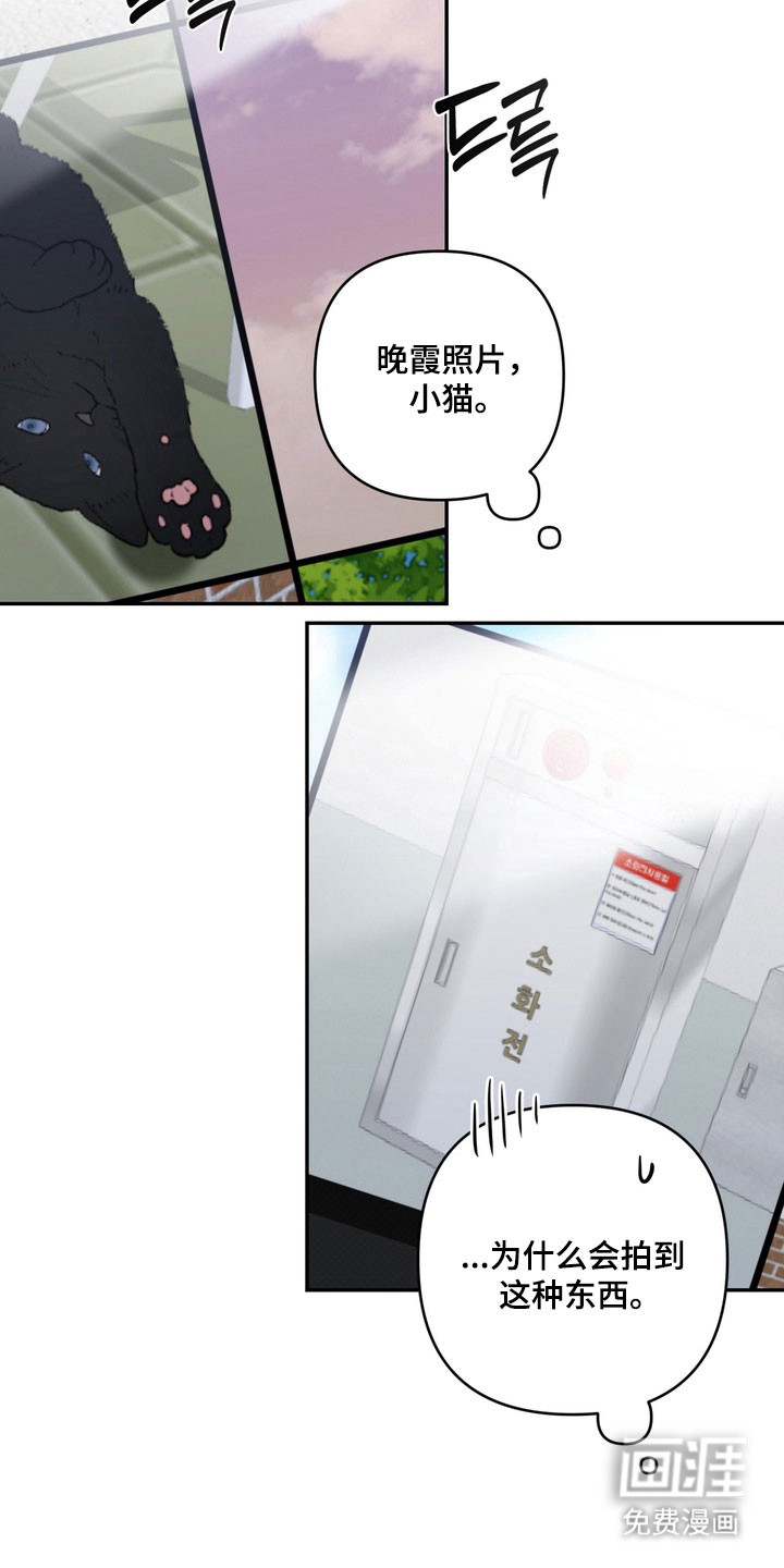 第75话 第3页