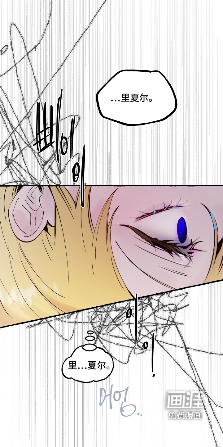 第117话12