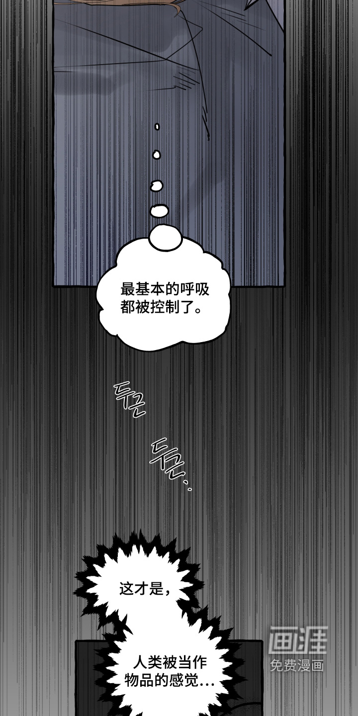 第116话5