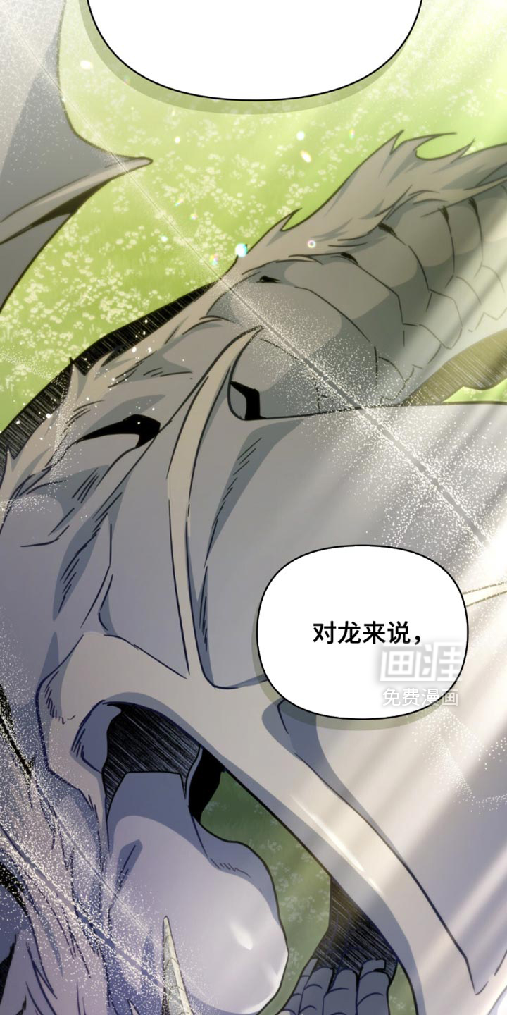 第116话22