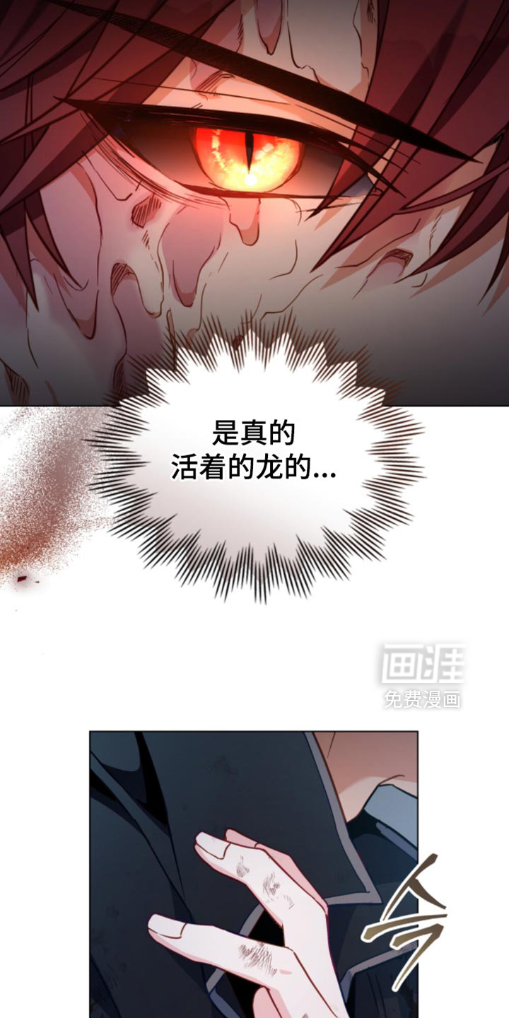 第102话17