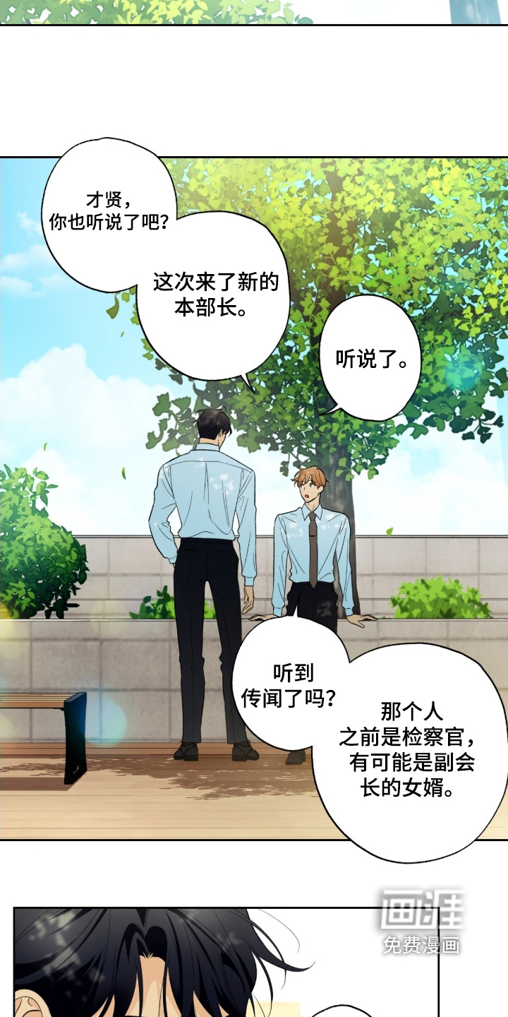 第117话11