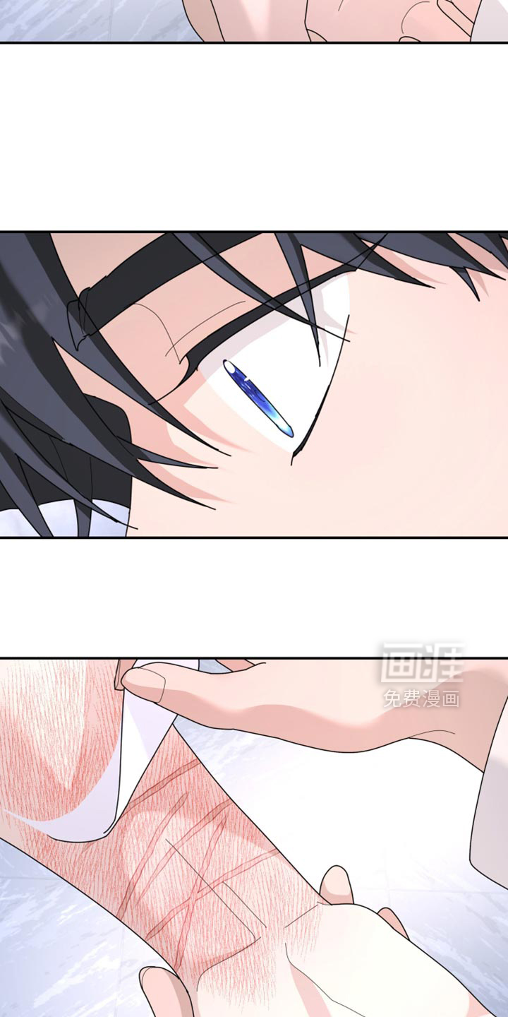 第210话11