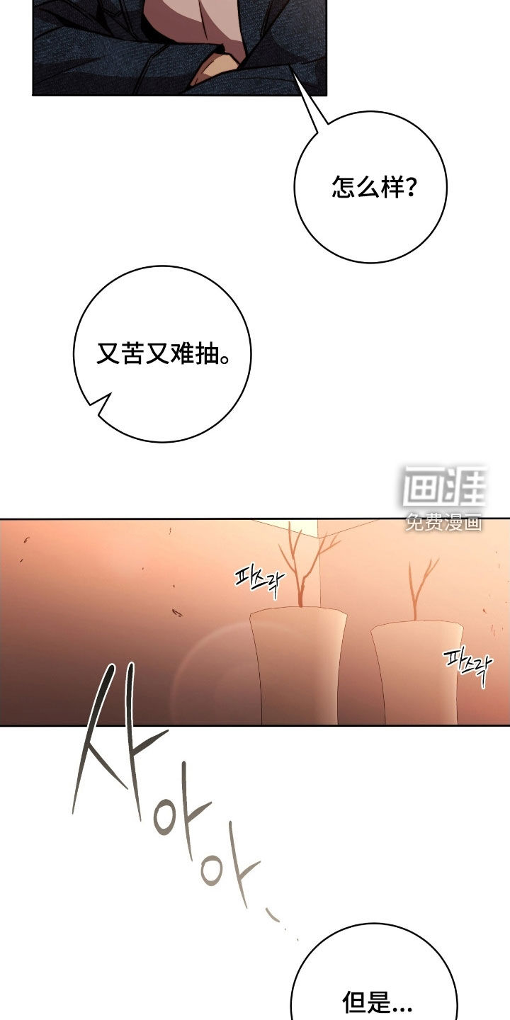 第51话3
