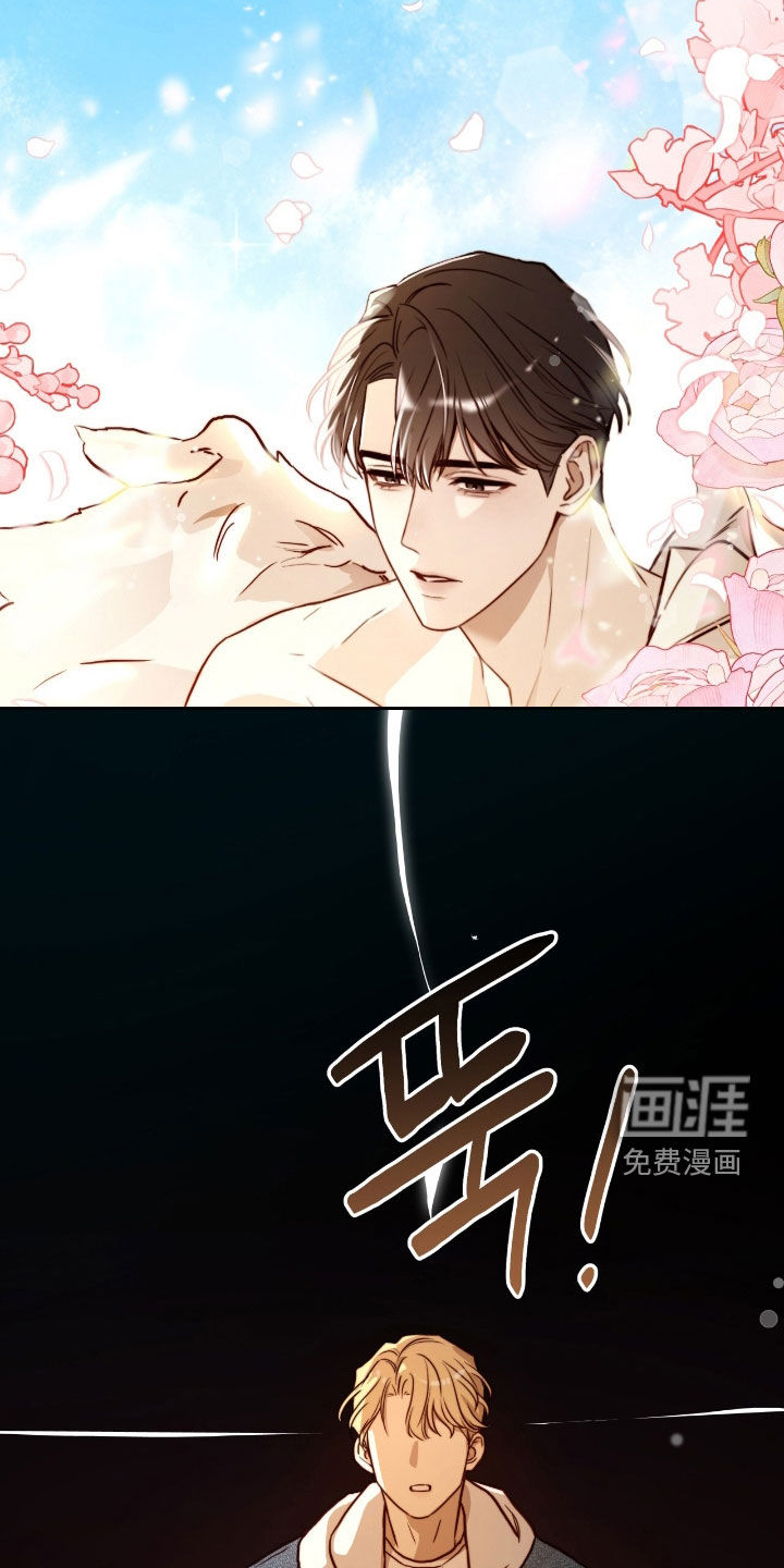 第43话11