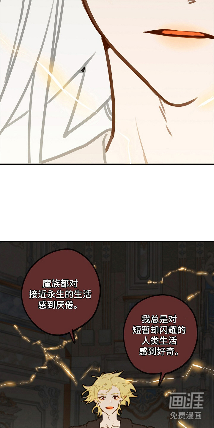 第11话3