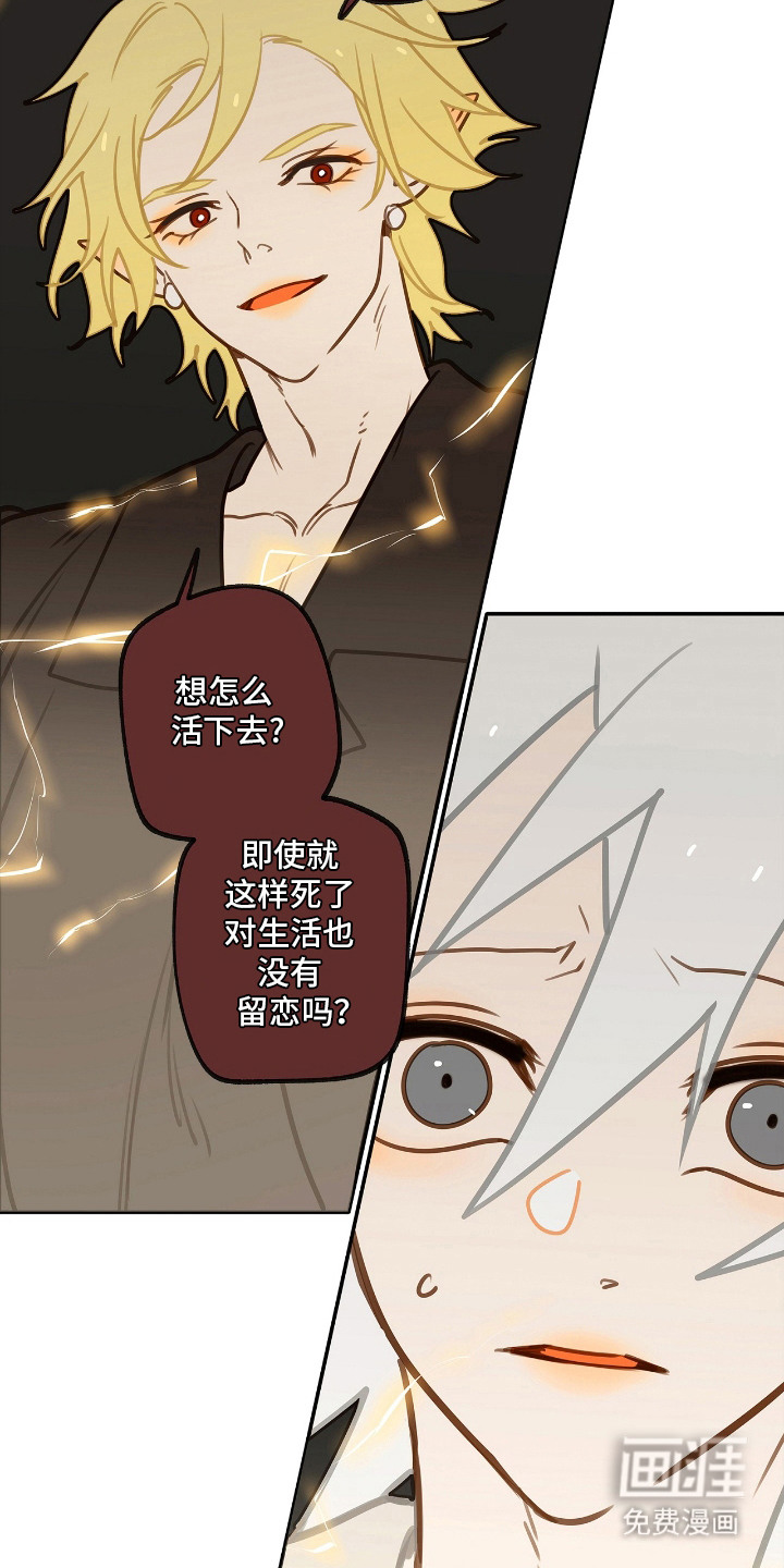 第11话1