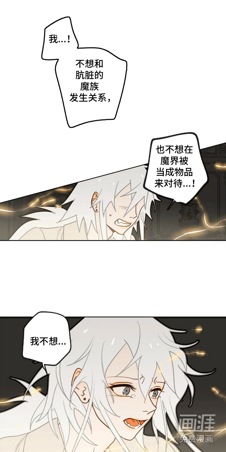 第11话8
