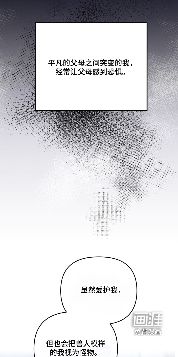 第58话 第19页