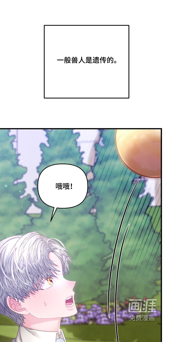 第58话 第12页