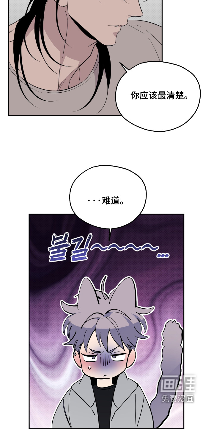 第37话12
