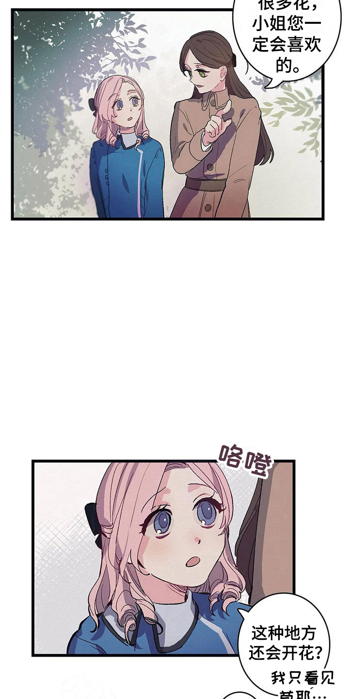 第8话 第5页
