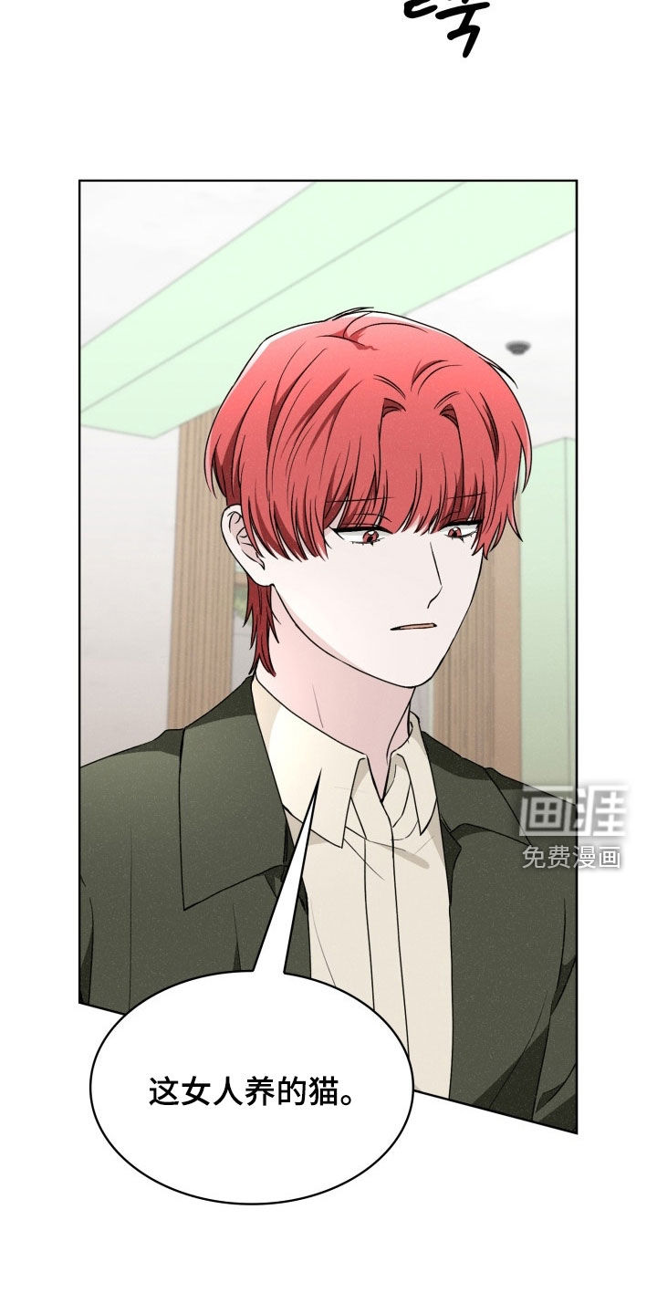第61话29