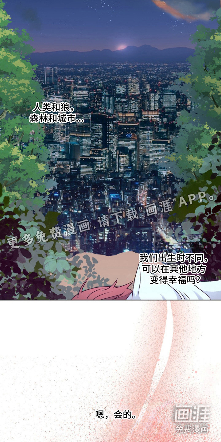 第31话11