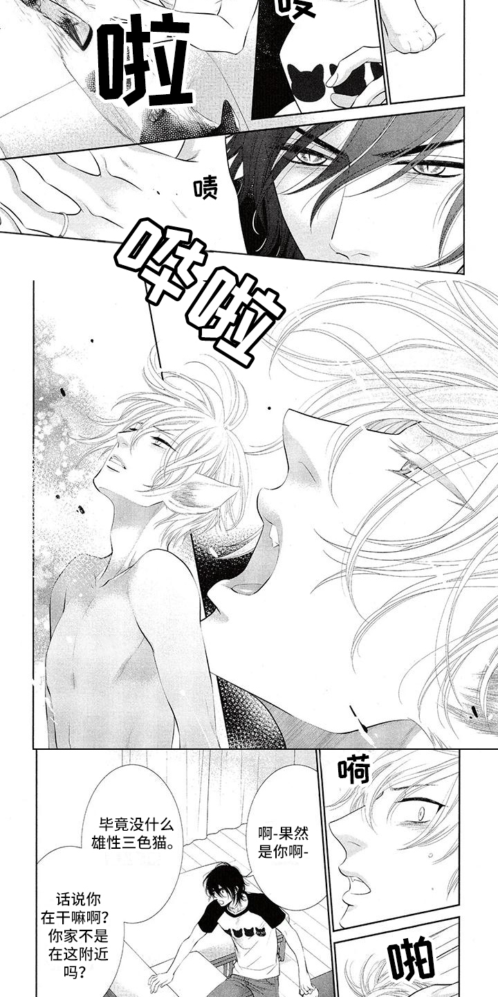 第3话 第4页