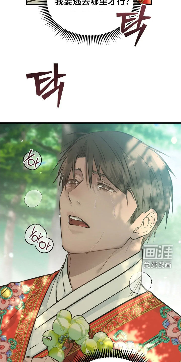 第49话17
