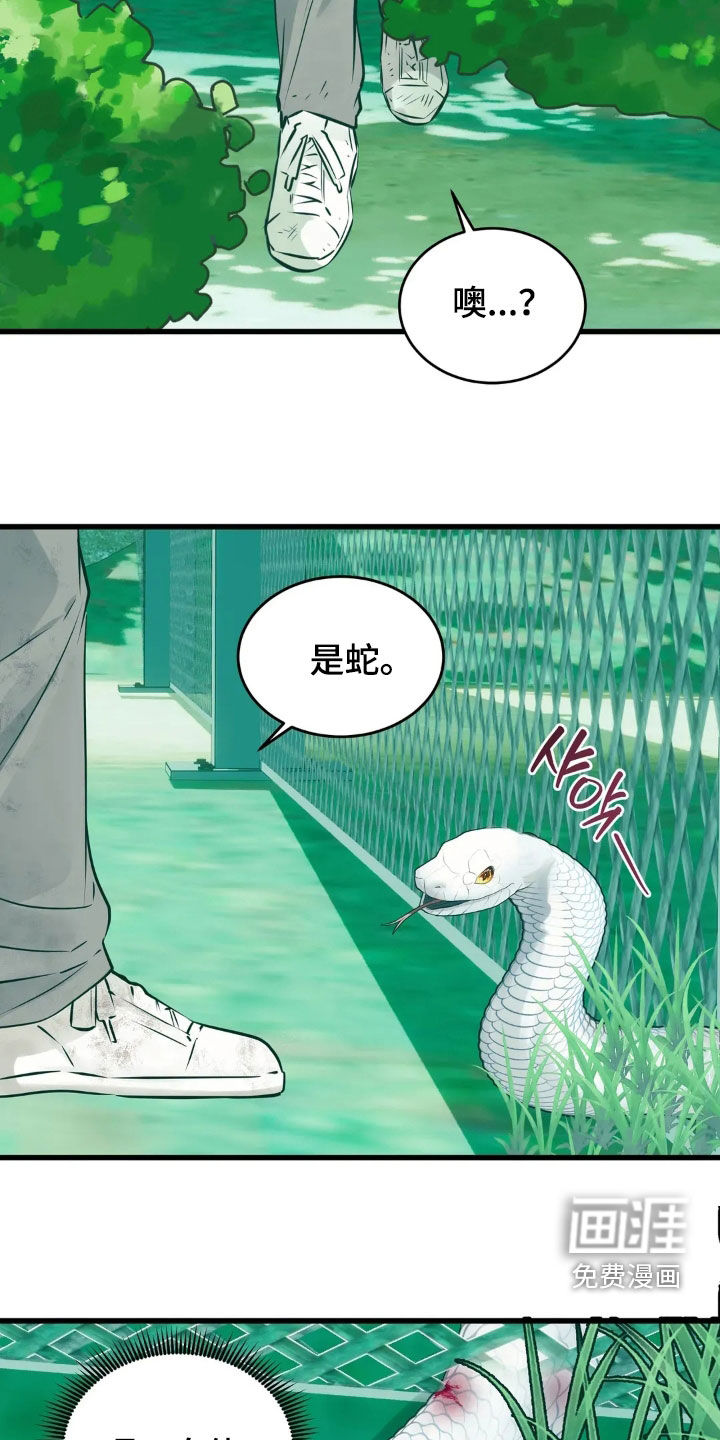 第34话8