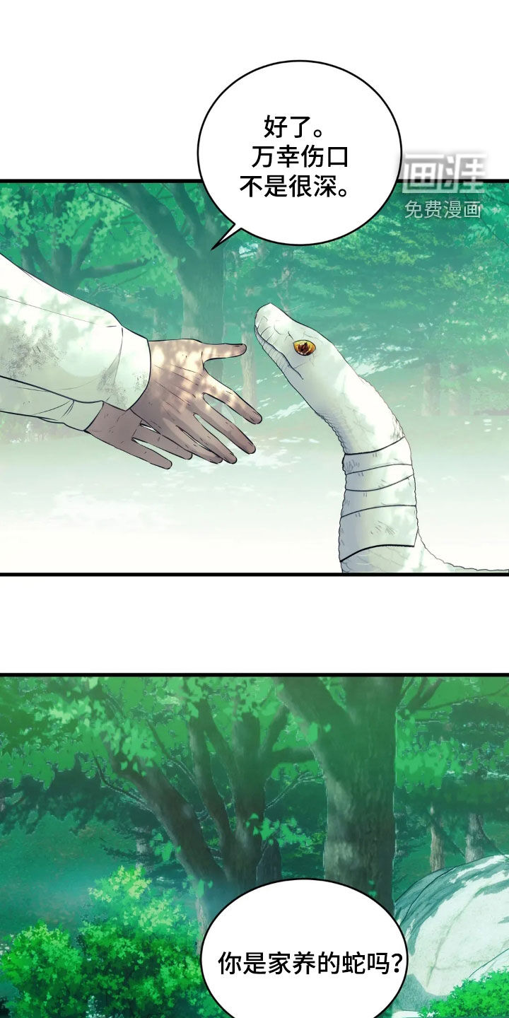 第34话17