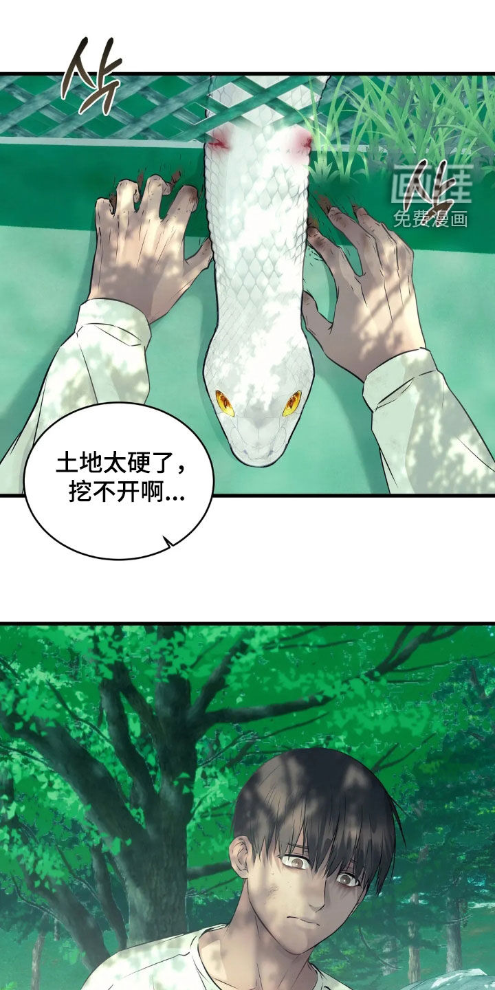 第34话12