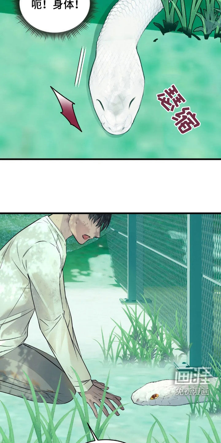 第34话9