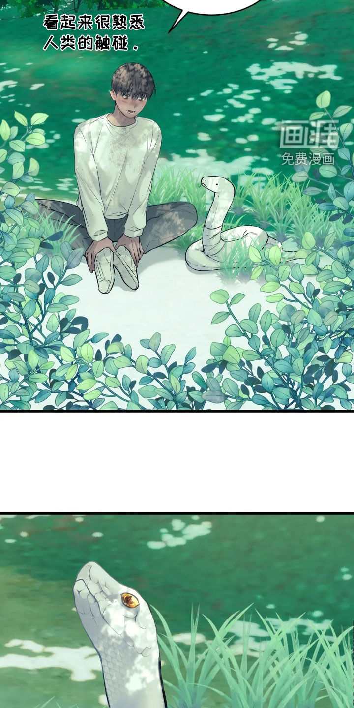 第34话18