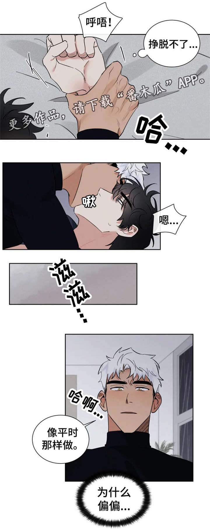 第17话 第5页