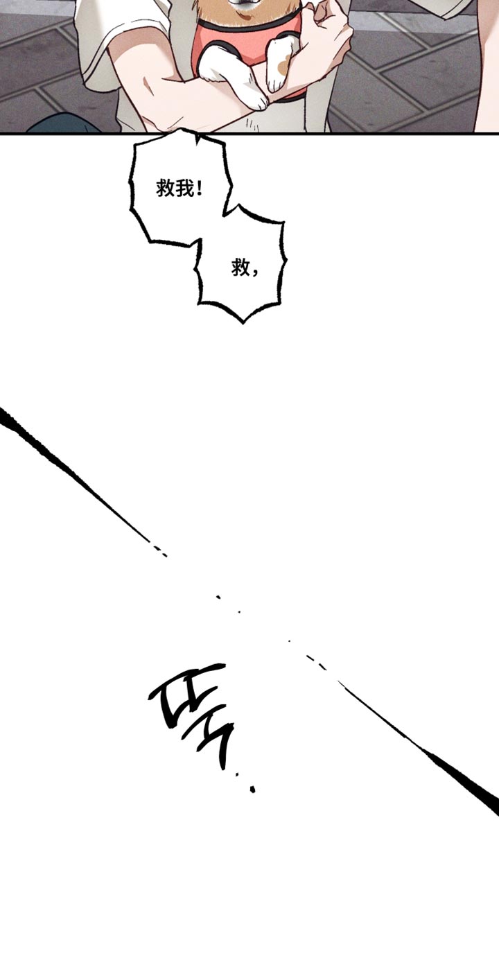 第43话 第28页