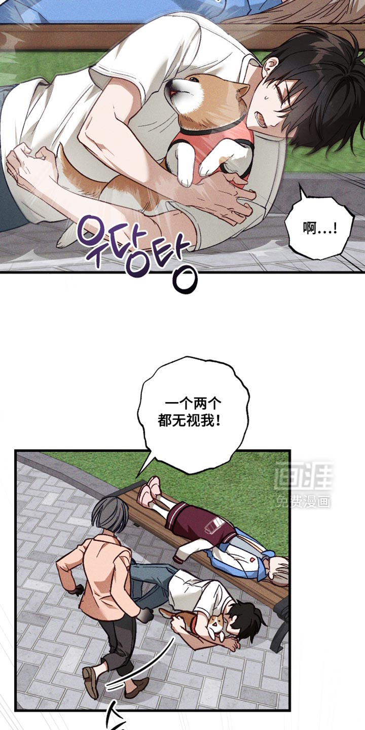 第43话 第5页