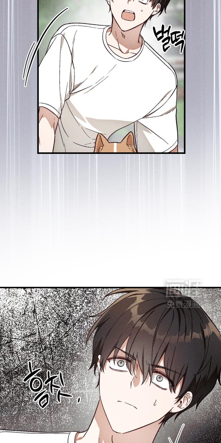 第43话 第11页