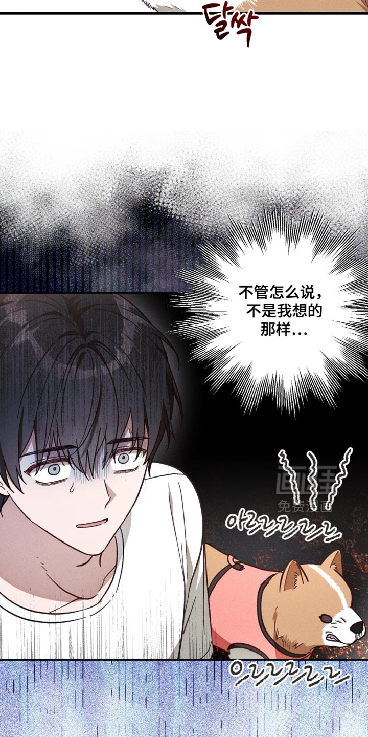 第41话 第19页