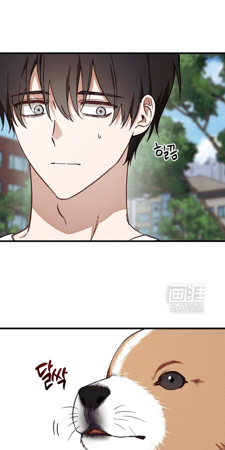 第41话 第18页