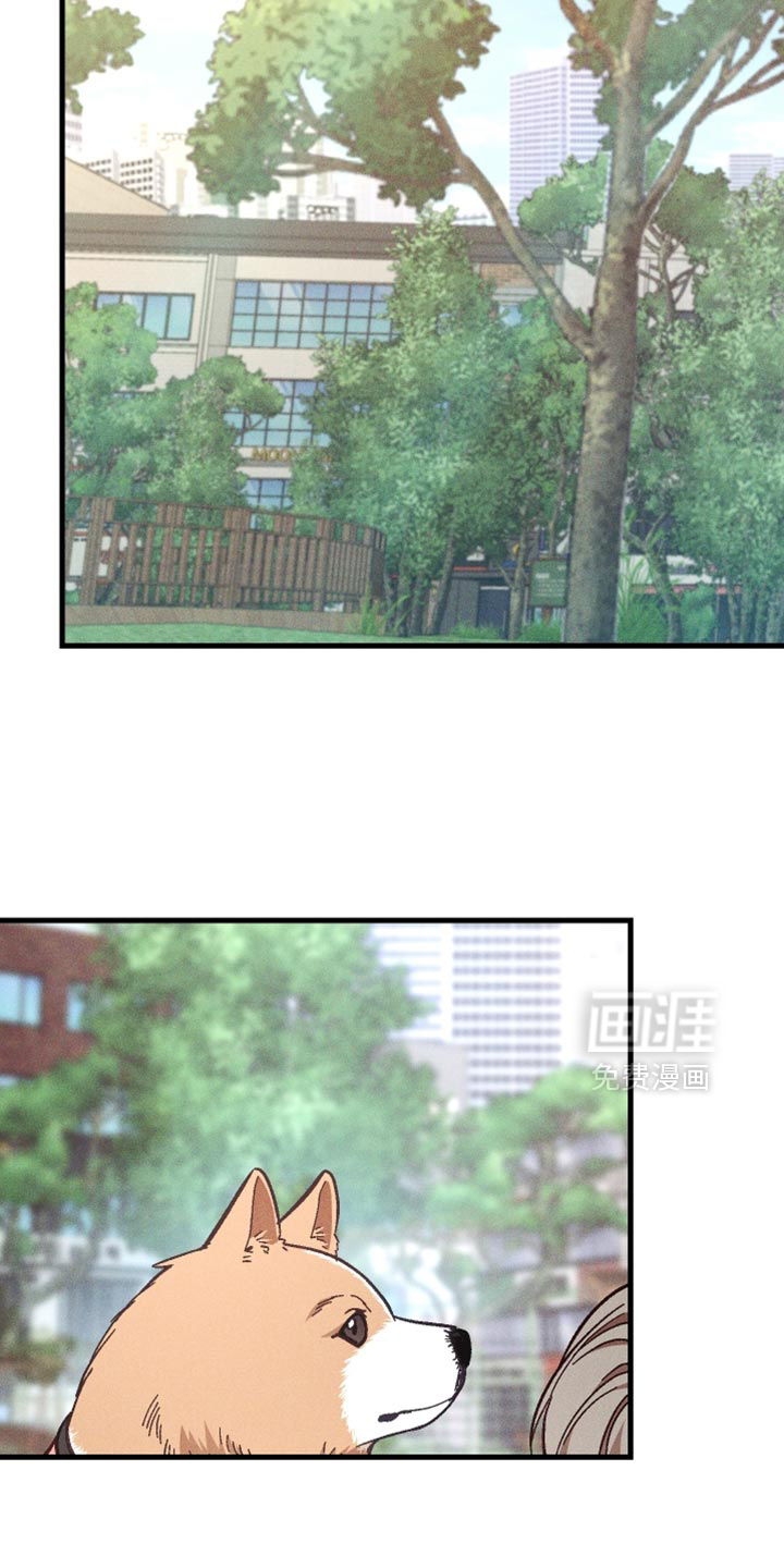 第40话 第20页