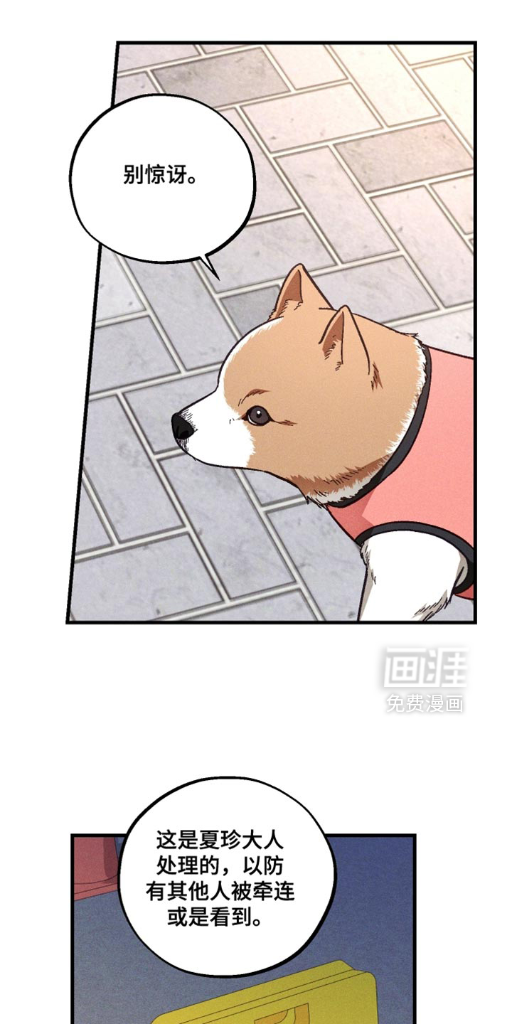第39话 第17页