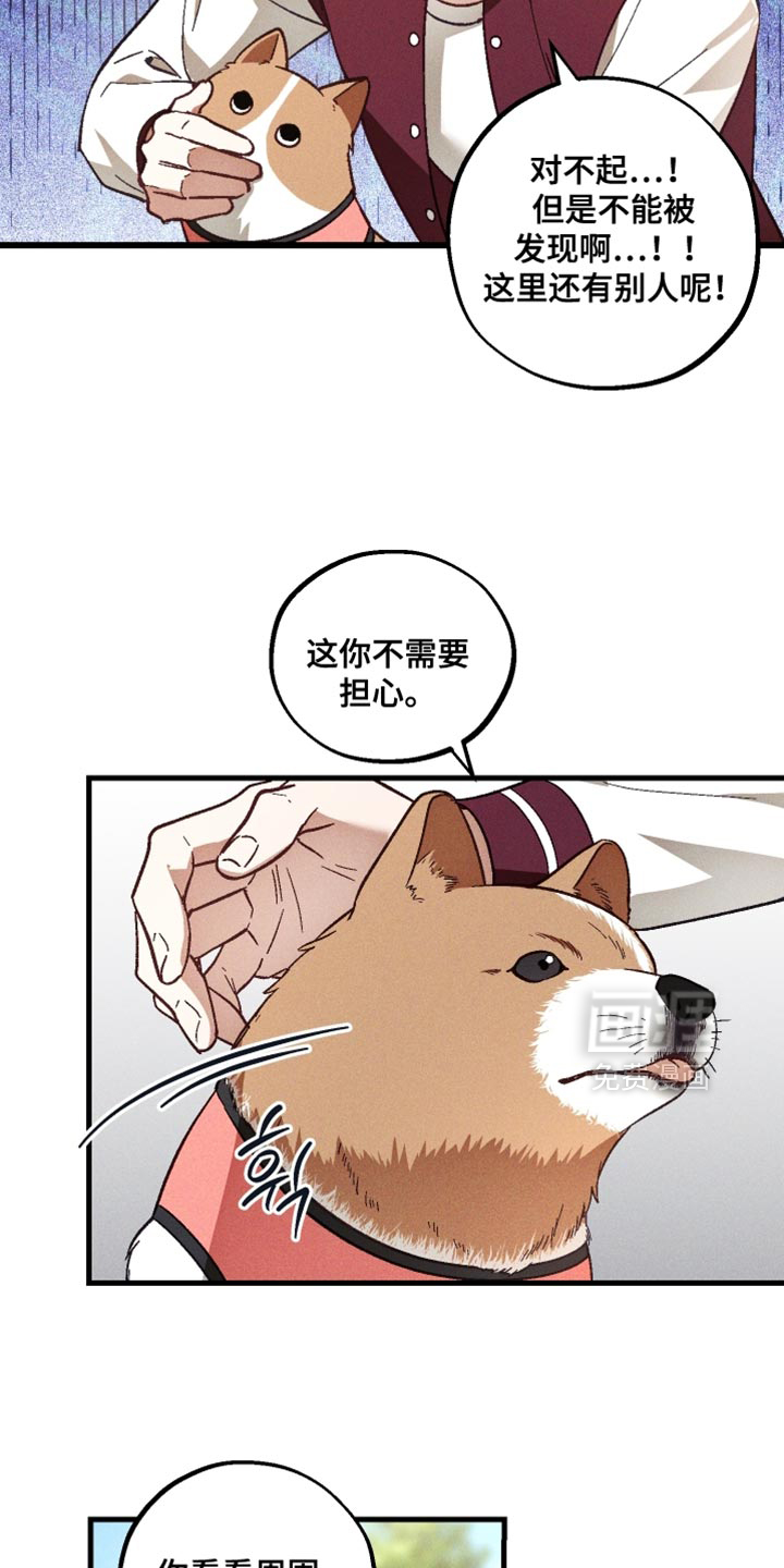 第39话 第11页