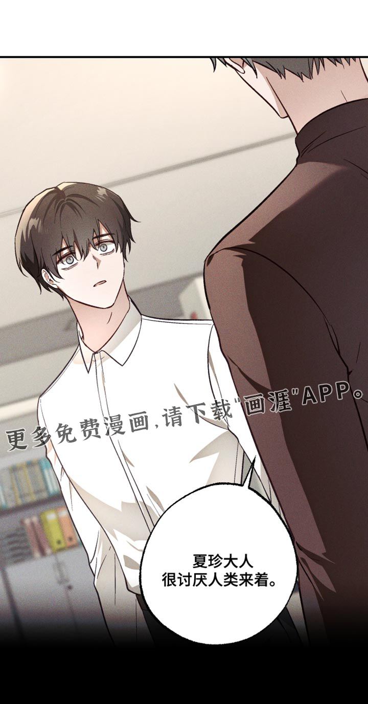 第25话 第28页