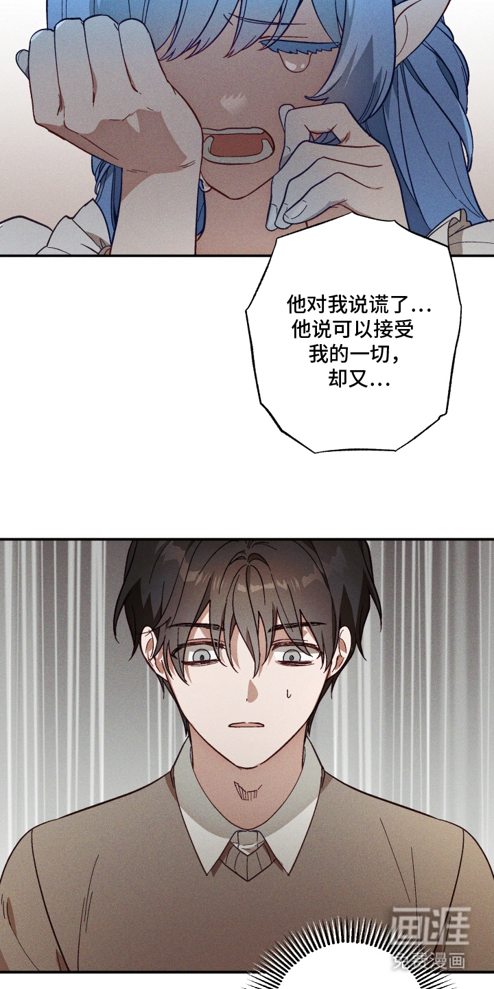 第11话 第13页