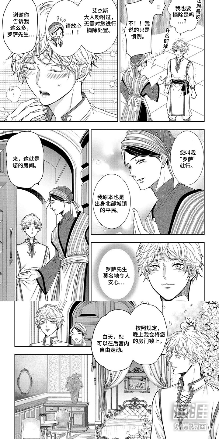 第5话5