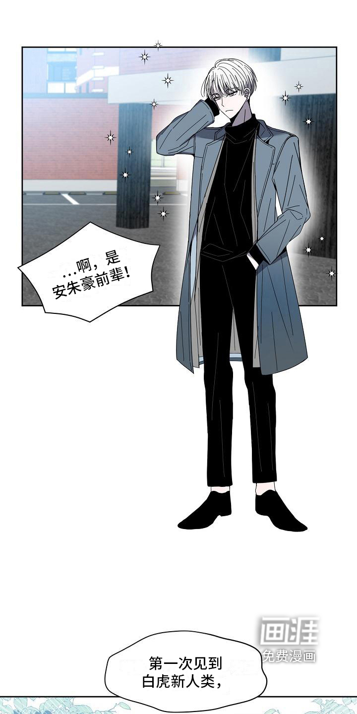 第26话 第31页