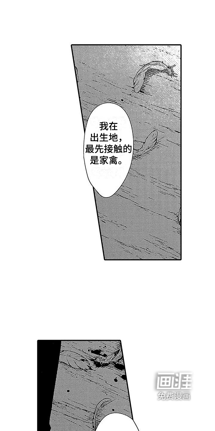 第16话 第8页