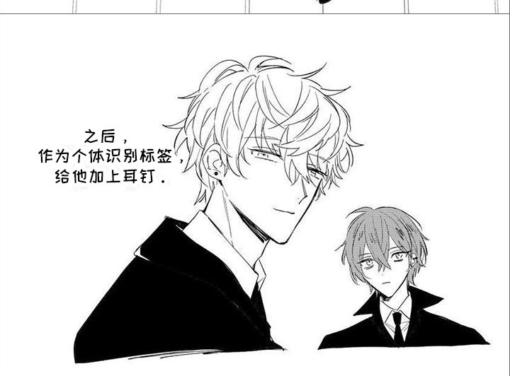第5话 第7页