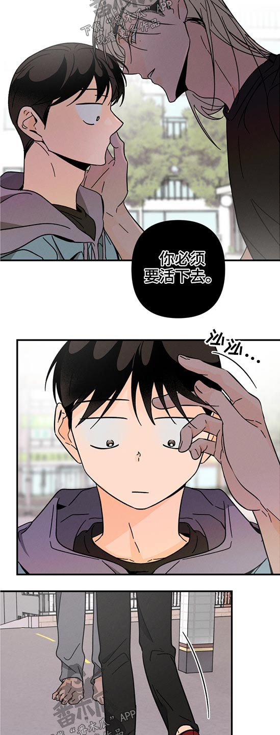 第49话 第11页