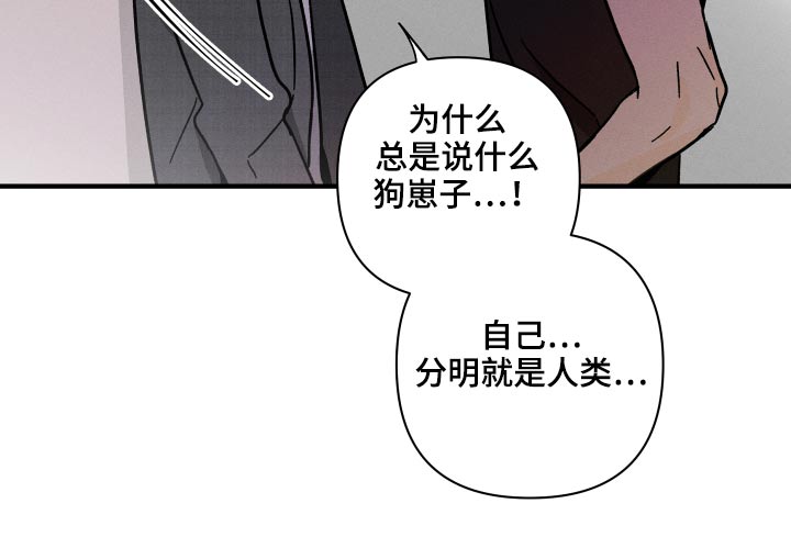 第47话 第13页
