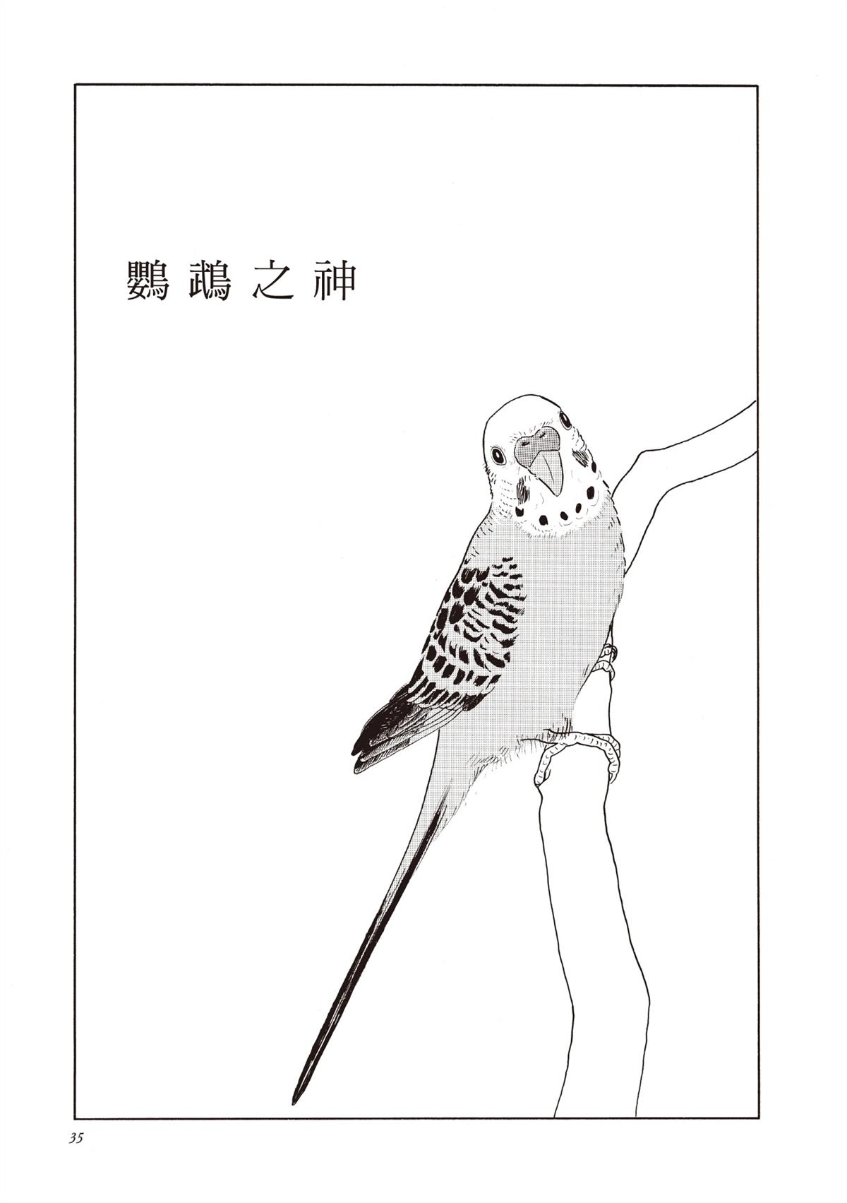 全一卷 第36页