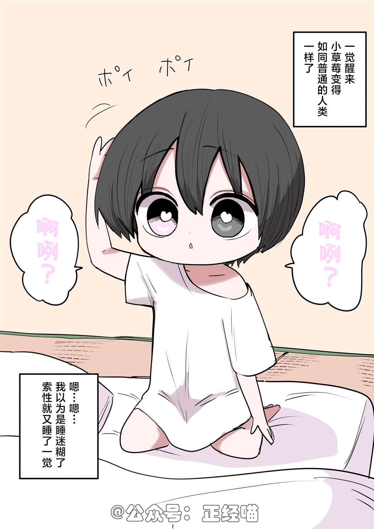混血魅魔与巧克力 第2页